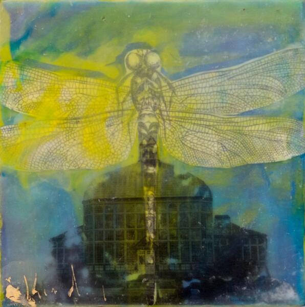 encaustic, dragonfly, conservatory, nature, baltimore