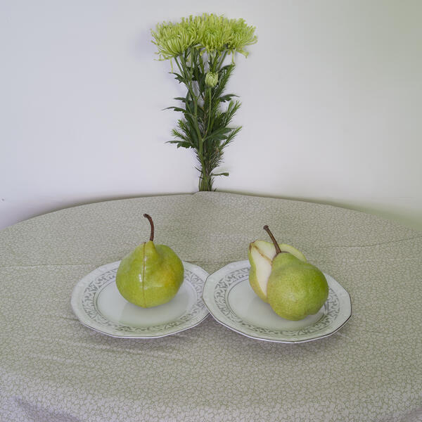 06_braslavsky_stilllifepears.jpg