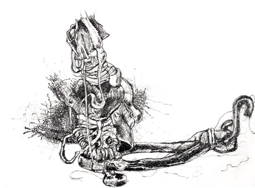 in the land of the blind the one eye is king