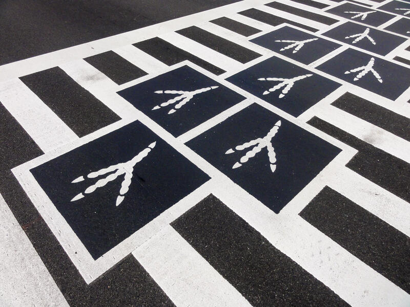 Hopscotch Crosswalk Colossus - bird tracks detail