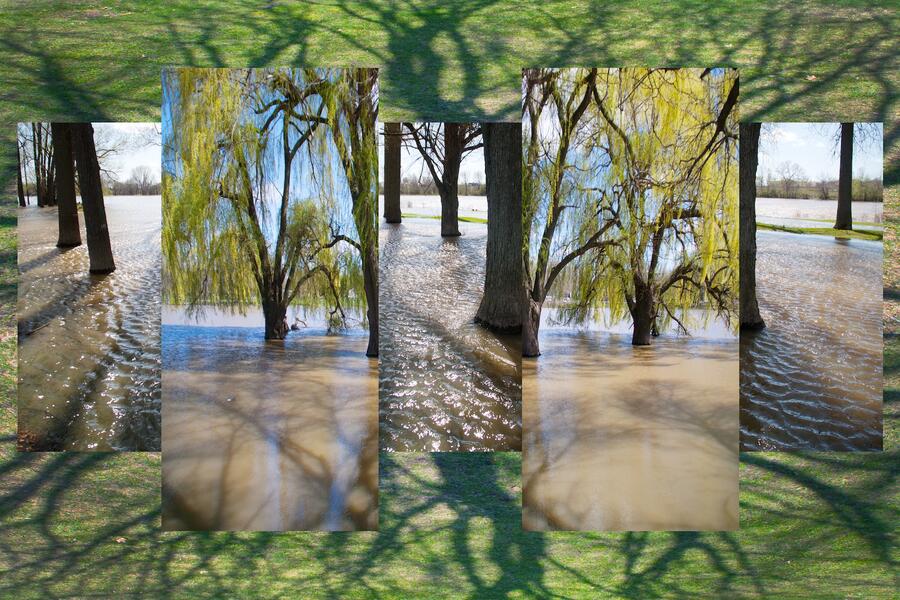 Riverside Landscape #5 