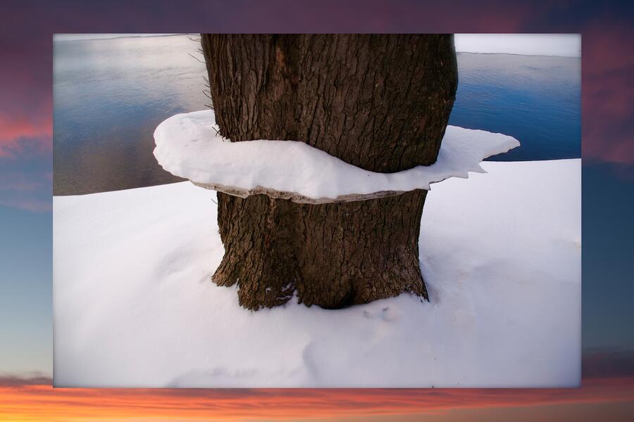 Riverside Landscape #7 