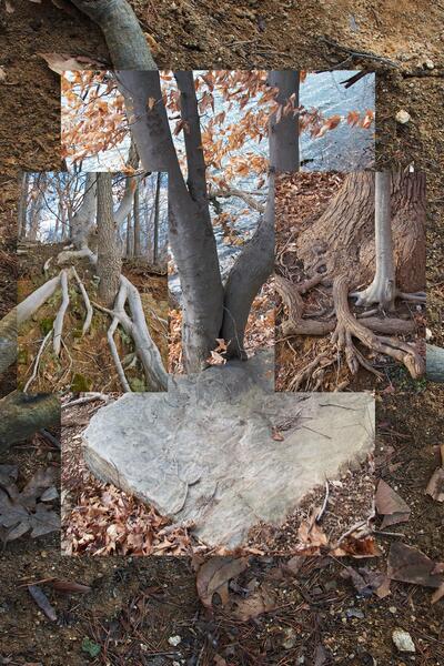 Lake Roland, Landscape #15 