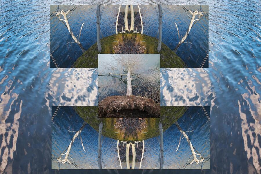 Lake Roland, Landscape #0