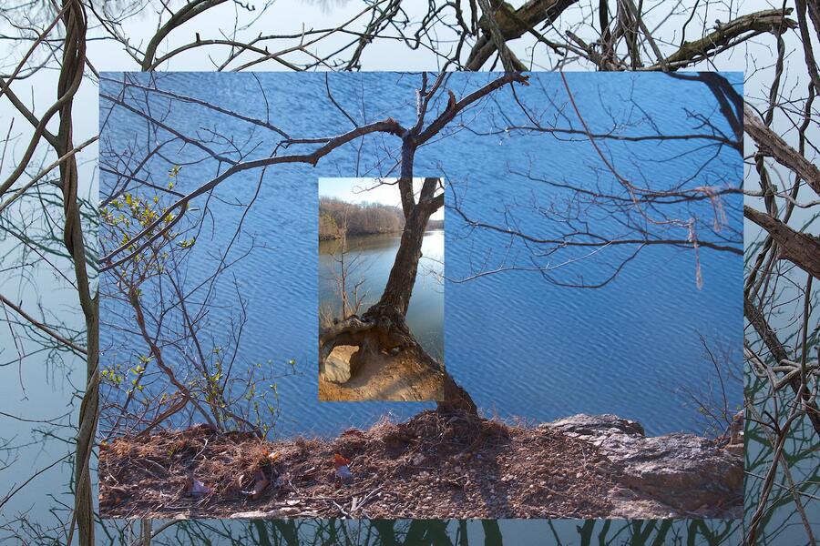 Lake Roland, Landscape #1 