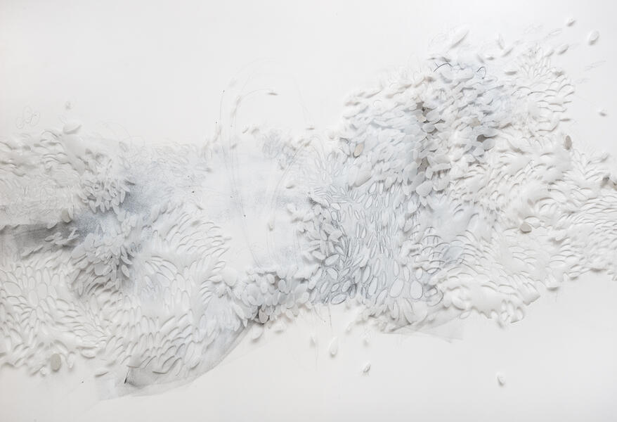 Flutter, detail