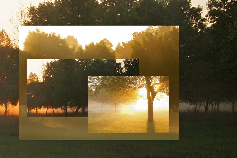 Riverside Landscape #37