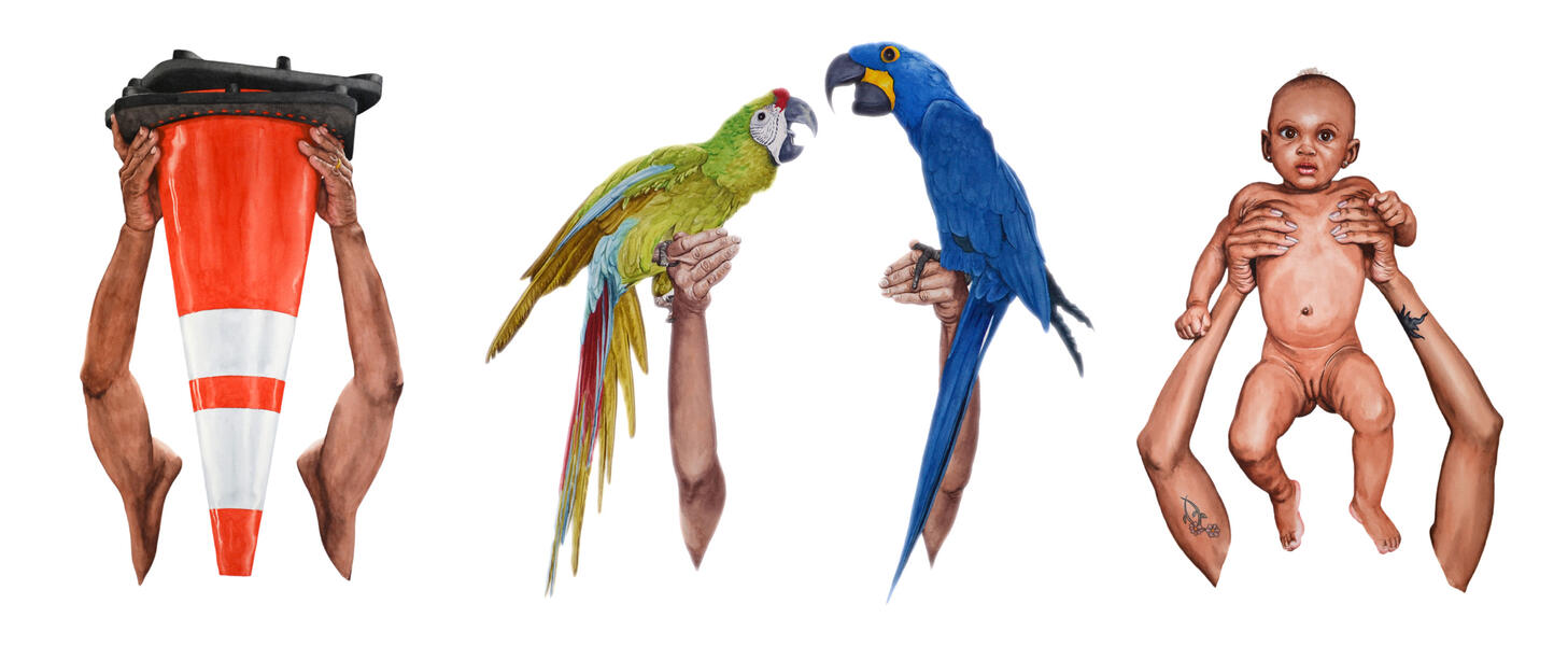 CONES MACAWS BGirl