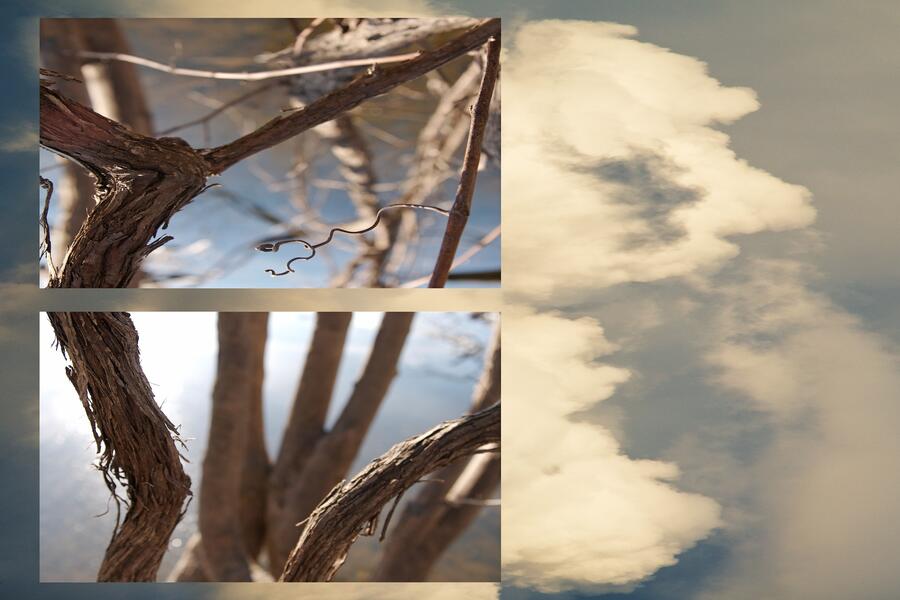 Riverside Landscape #24