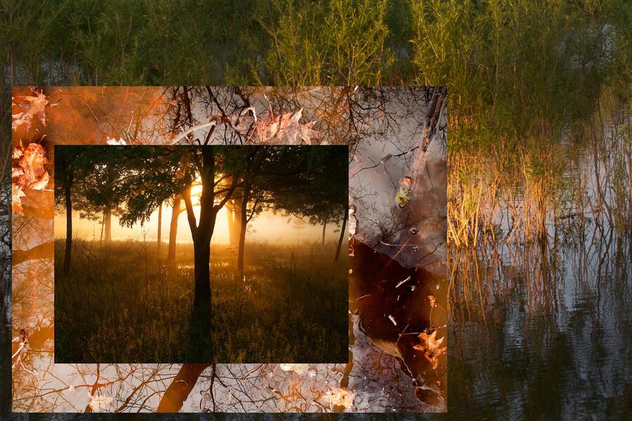 Riverside Landscape #36