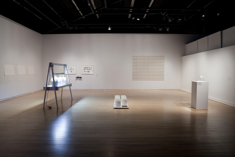 Installation View: In Defense of Native Soil
