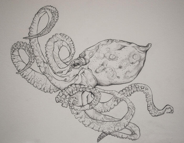 bluedottedoctopus.jpg