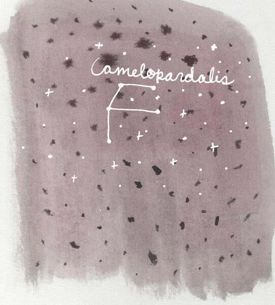 Camelopardalis