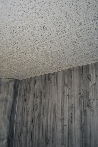 ceilingtile,paneling5