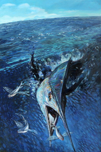 White Marlin chasing Flyers