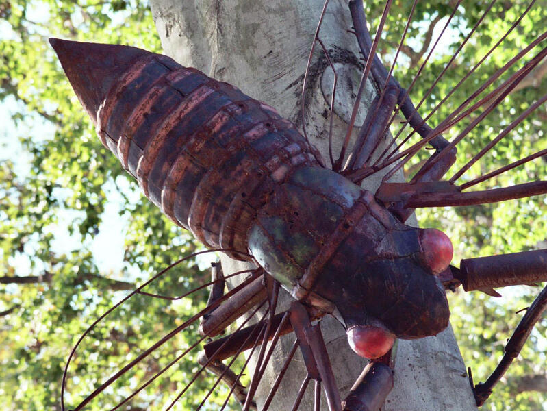 cicada sculpture