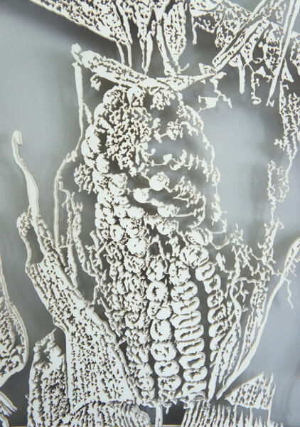 corndetail2.jpeg