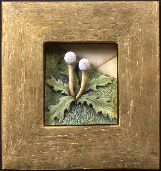 Dandelion
