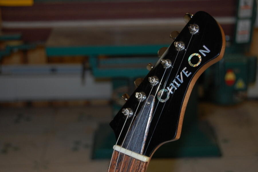 The Chive Charity Guitar