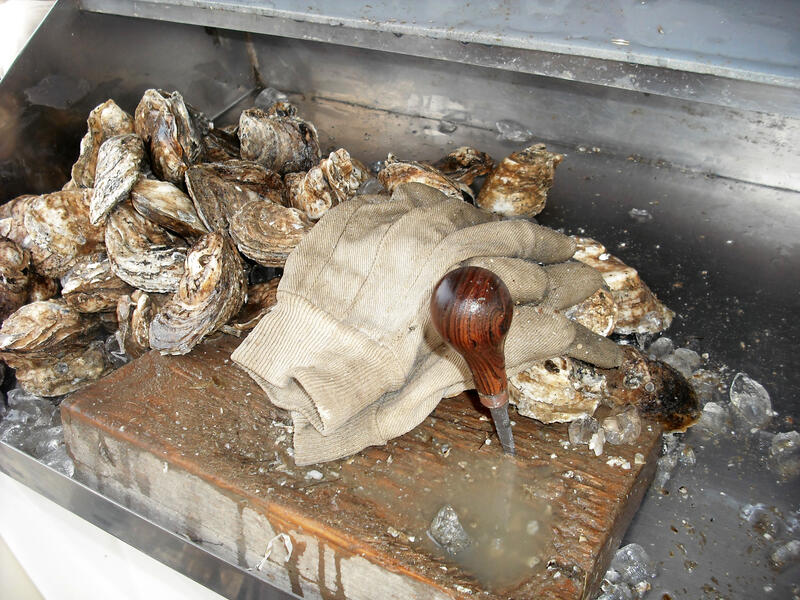 Oysters waiting to be shucked and served 