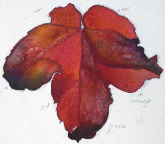 Red Leaf, Rye