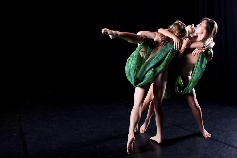 Deep Vision Dance Company