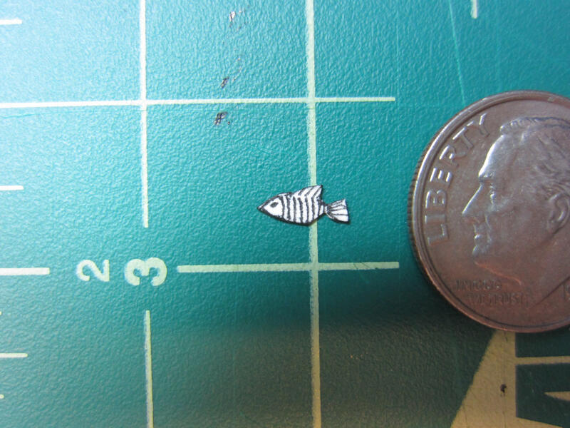 The smallest fish