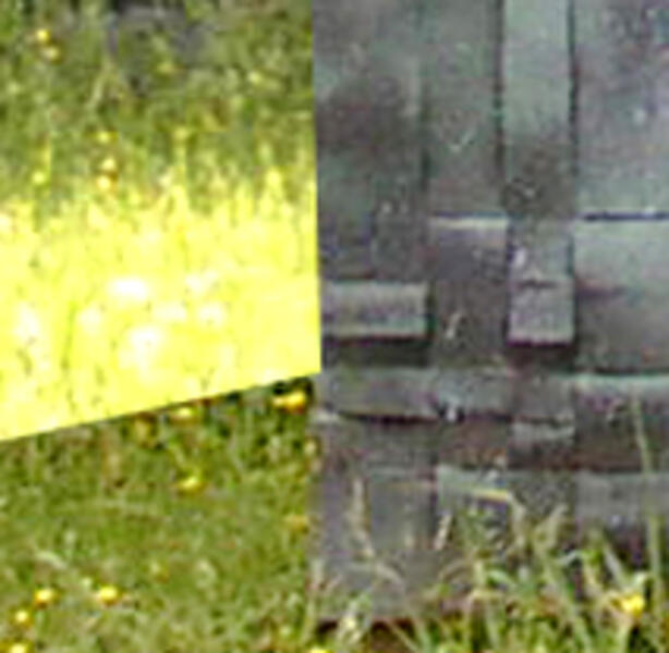 Spring 2011