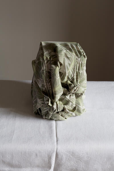 green_tolstoy1_6x10.jpg
