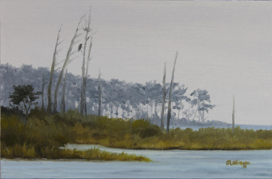 &quot;Hoopers Island Shoreline&quot;