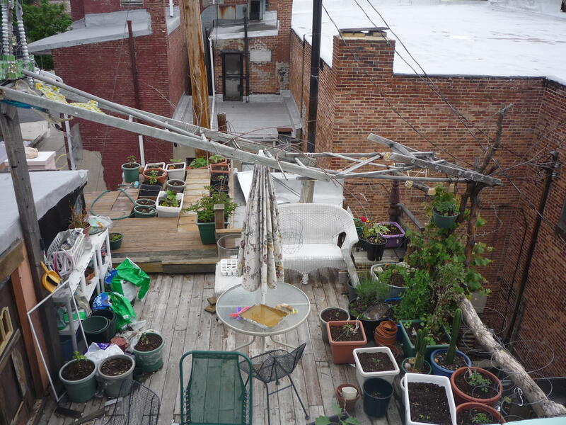 Roof Deck Gardens