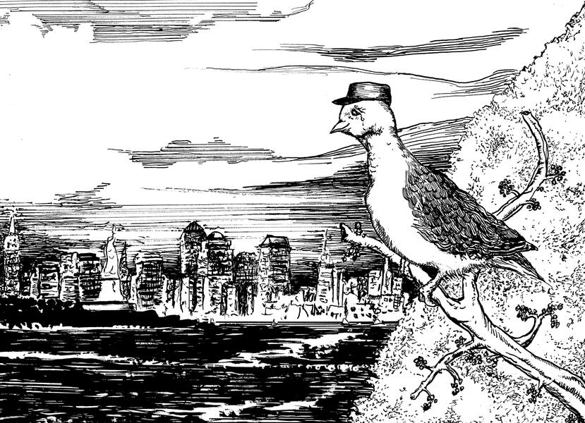 Illustration From Peter Pigeon of Snug Harbor