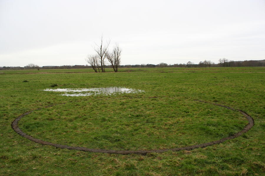 Marsh circle #2 2012
