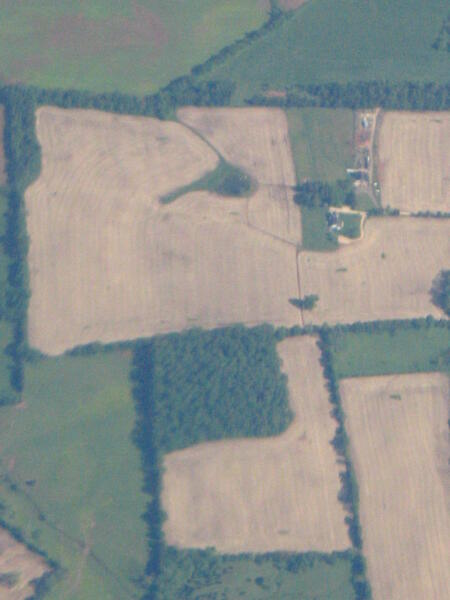 Fields - aerial