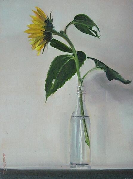 Jo Brown, Sunflower (profile) (©2012) 16 x 12 oil on archival canvas board IMG_5066