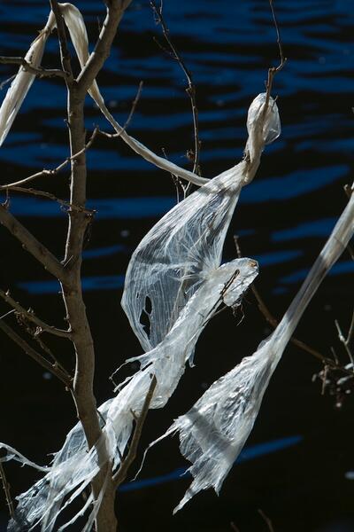 Flight of the Valkyries