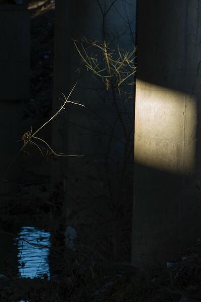 Unexpected Attention