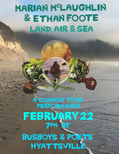 land-air-and-sea-small-version.jpg
