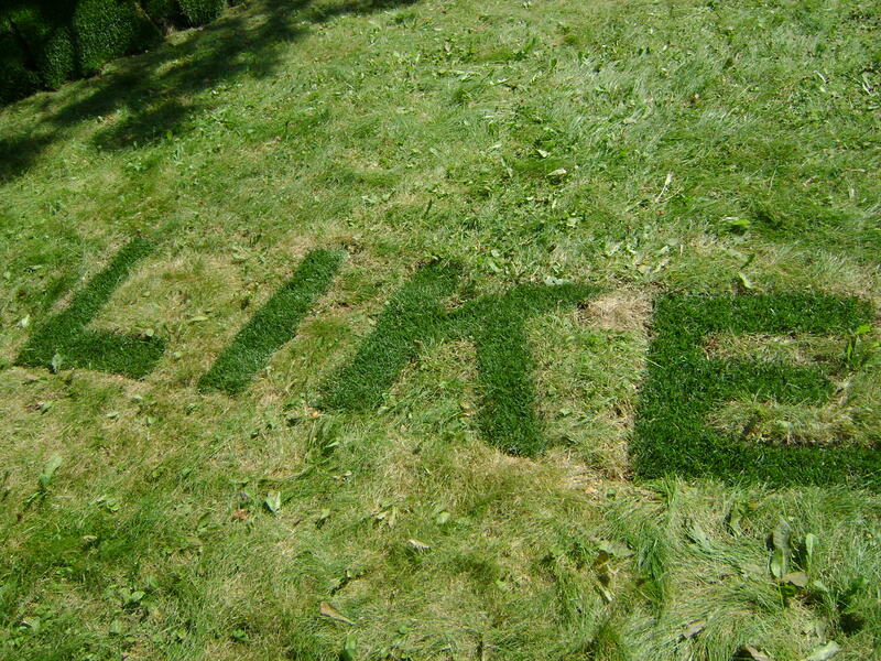 Lawn Poem detail