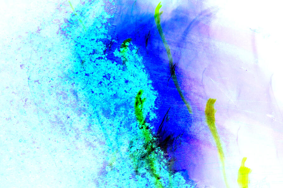 Light Painting:3.20.09