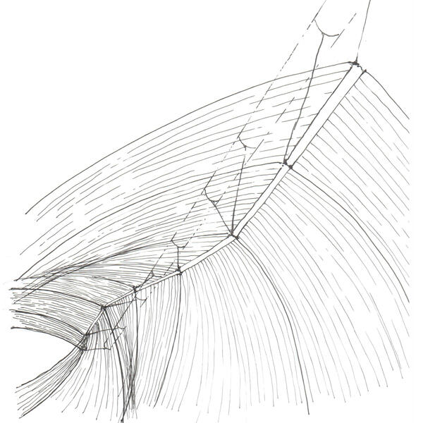 Sketch - String Formwork