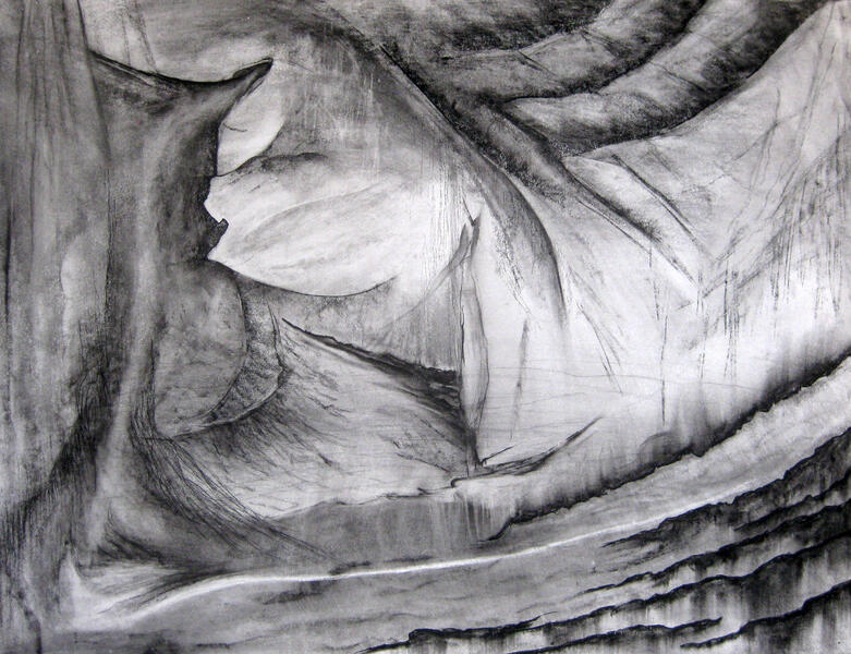 Site Sketch 3 - Architecture of a Crawfish