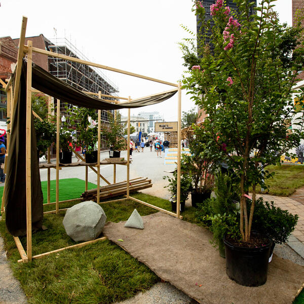 National Park(ing): Deciduous Forest Cube