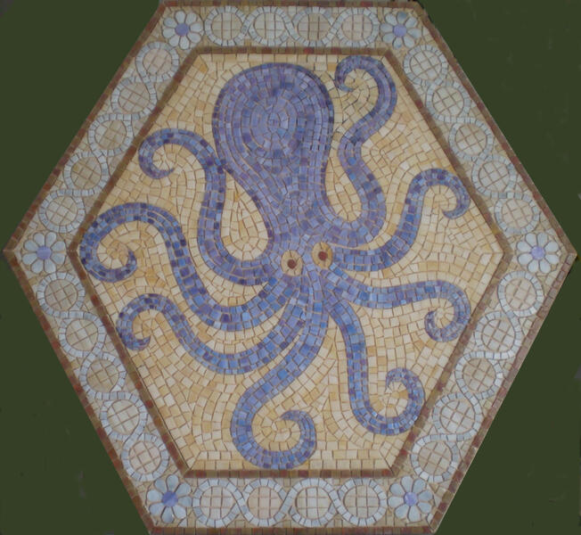  Octopus Hexigon