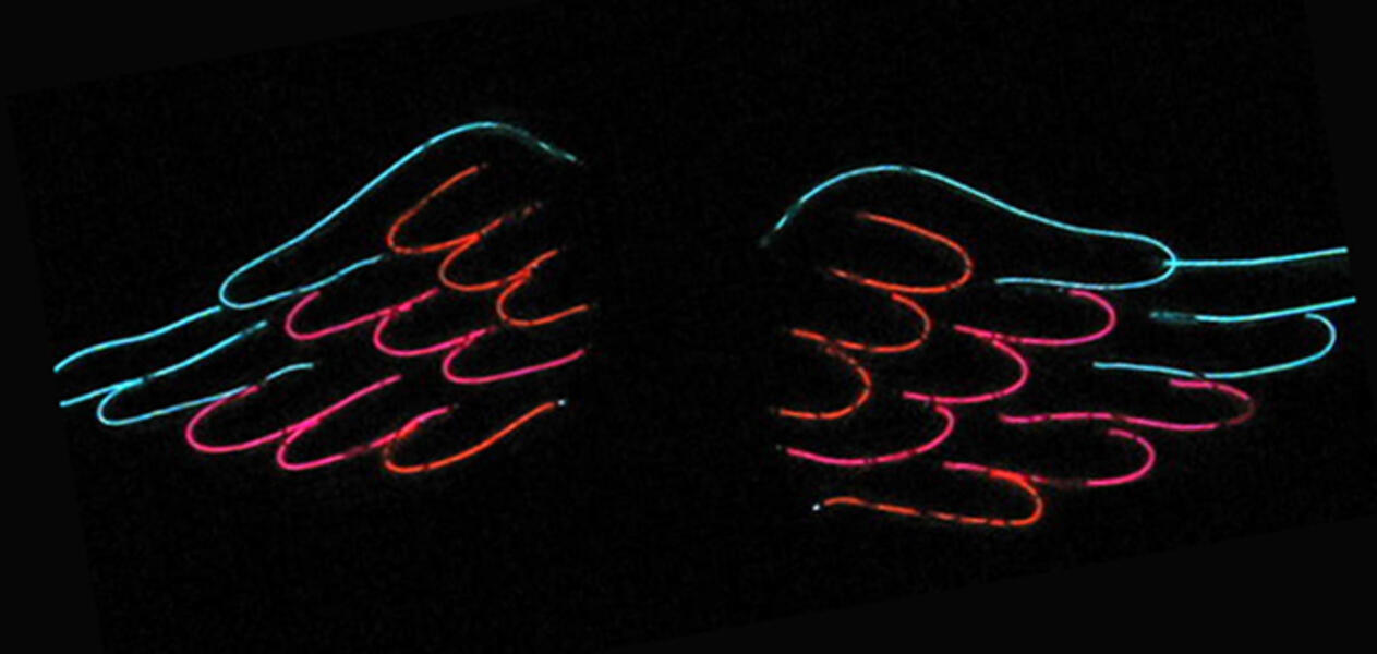 El Wire wings