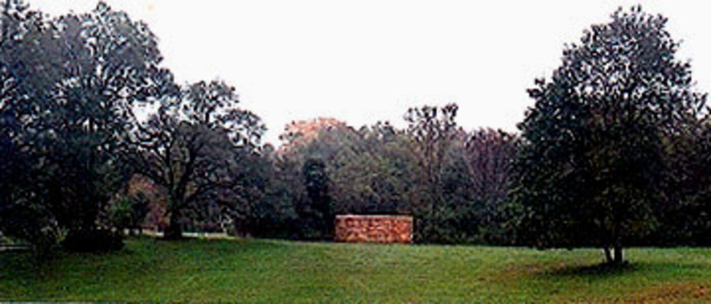 Fall 2009 Wall