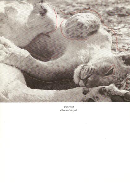 scan-11-2.jpeg