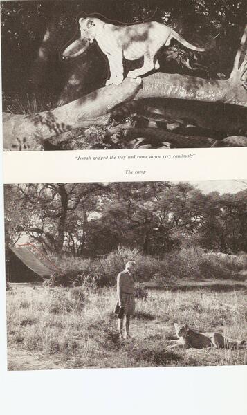 scan-6-4.jpeg