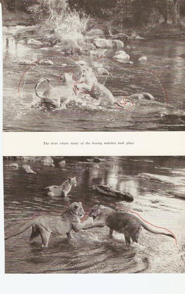 scan-7-3.jpeg