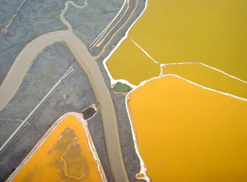 Fremont, California